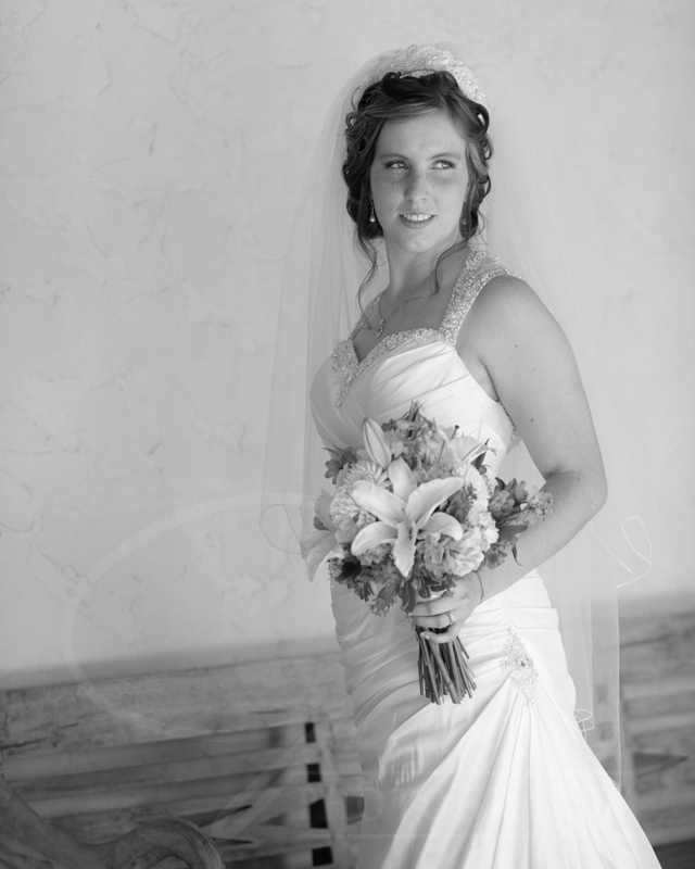 Black and white bridal portrait