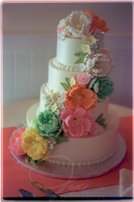 Articles about Wedding cake wedding photography