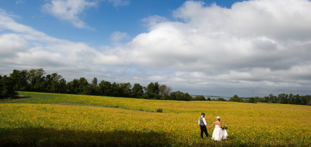 © 2013 Jax Photography earth day weddings eco friendly wedding